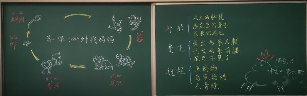 教师板书比赛二等奖.jpg